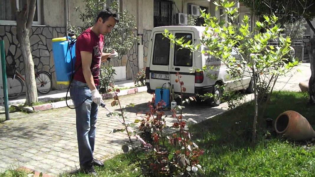 Bahçenizin gizli düşmanına dikkat: Bu böcek siz fark etmeden fidelerinizi çatır çatır kesiyor! 8